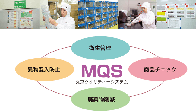 MQSの確立